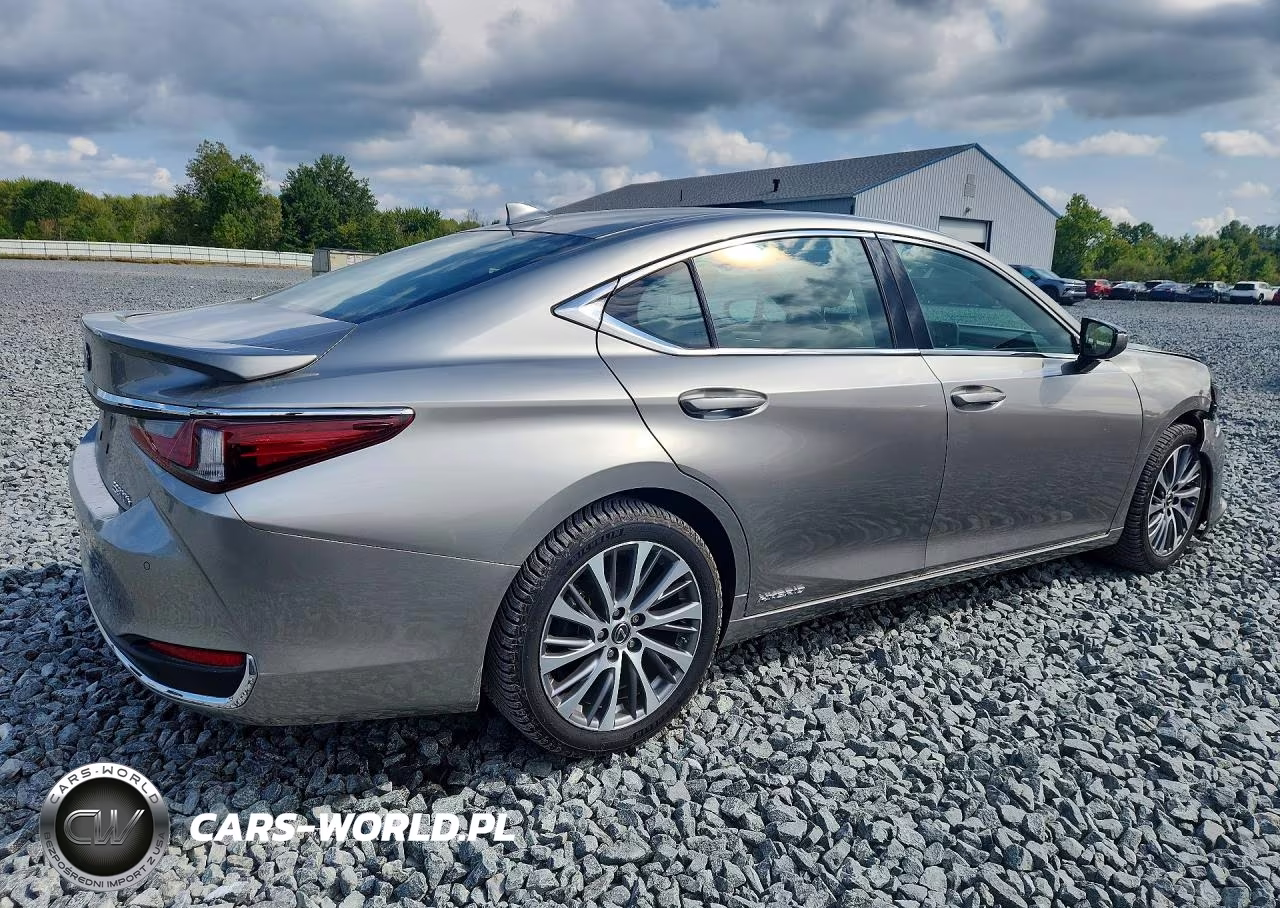 2020 Lexus Es 300H VIN:58AD21B16LU006667 - 3