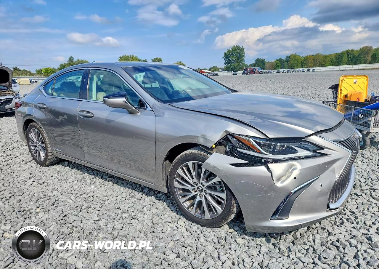 2020 Lexus Es 300H VIN:58AD21B16LU006667 - 4