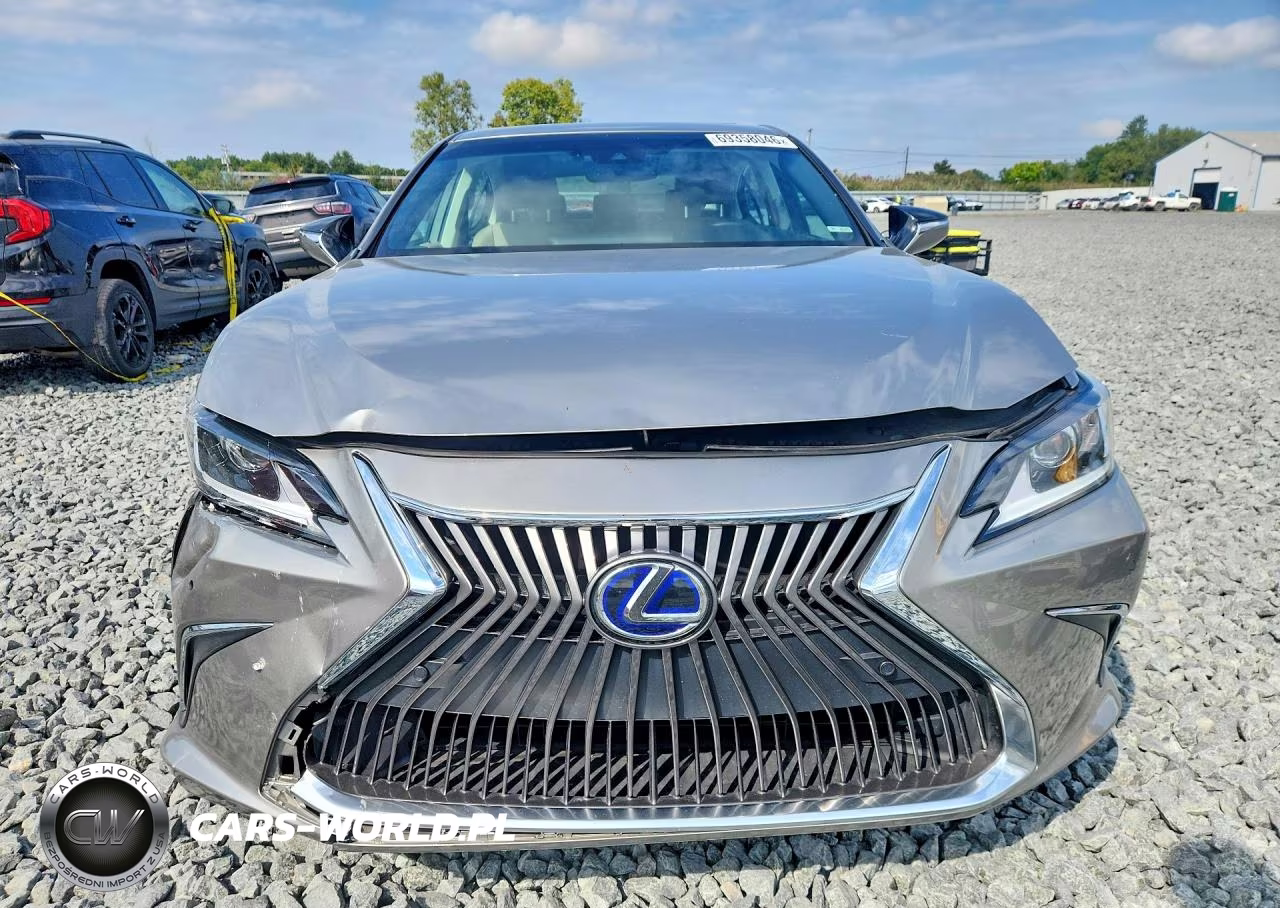 2020 Lexus Es 300H VIN:58AD21B16LU006667 - 5