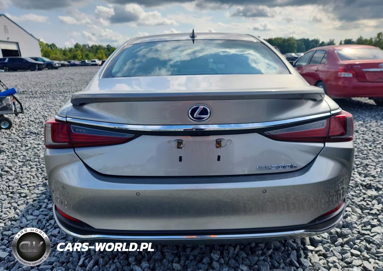 2020 Lexus Es 300H VIN:58AD21B16LU006667 - 6