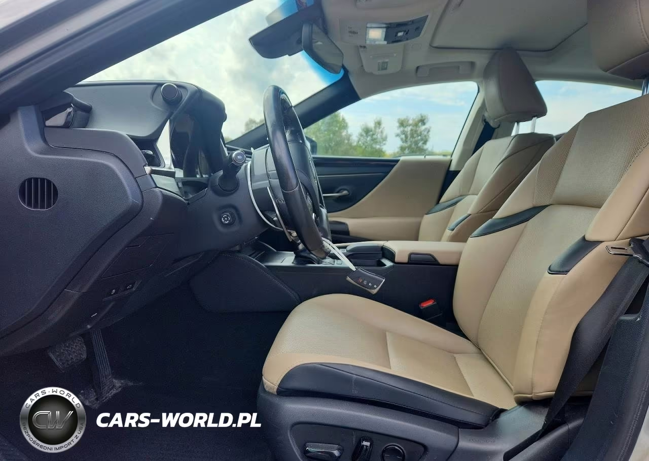 2020 Lexus Es 300H VIN:58AD21B16LU006667 - 7