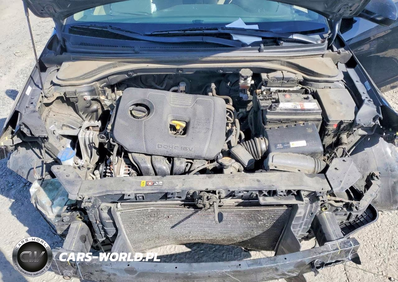 2019 Hyundai Elantra Sel VIN:KMHD84LF8KU773095 - 11