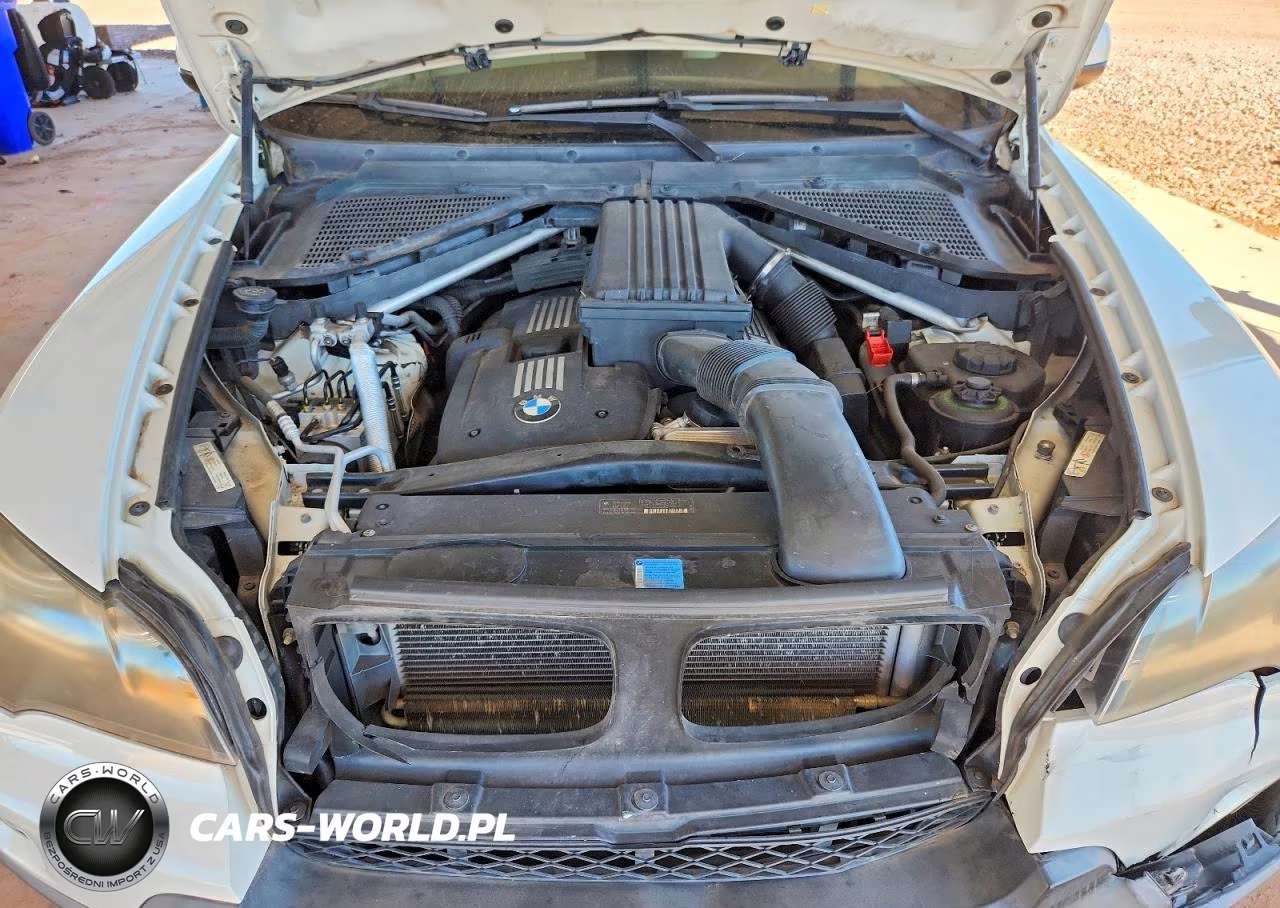 2007 BMW X5 3.0I VIN:5UXFE43527L018839 - 12