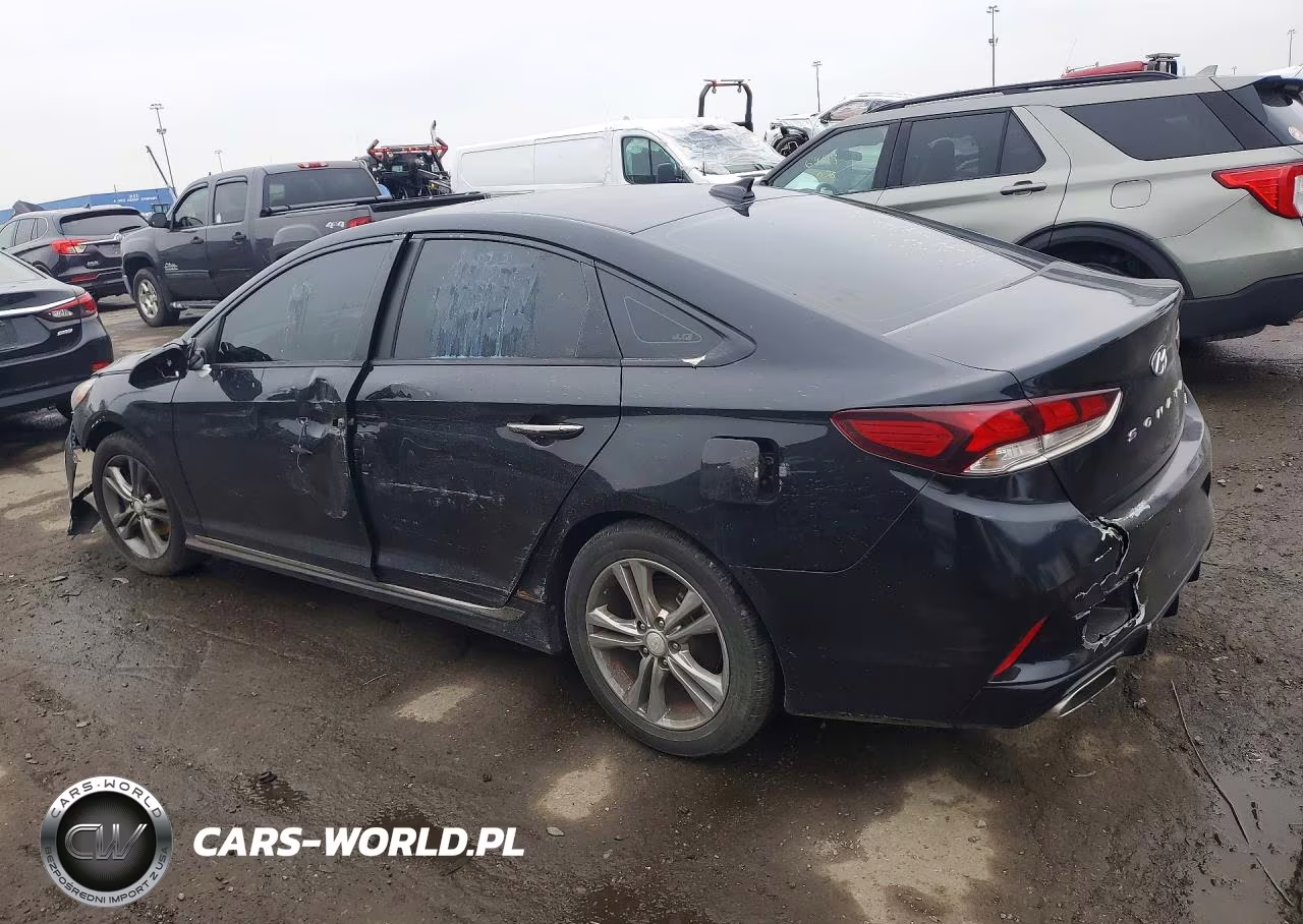 2019 Hyundai Sonata Sel VIN:5NPE34AF5KH786245 - 2