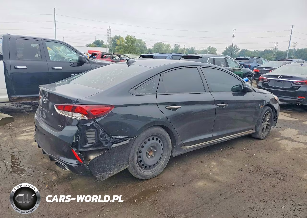 2019 Hyundai Sonata Sel VIN:5NPE34AF5KH786245 - 3