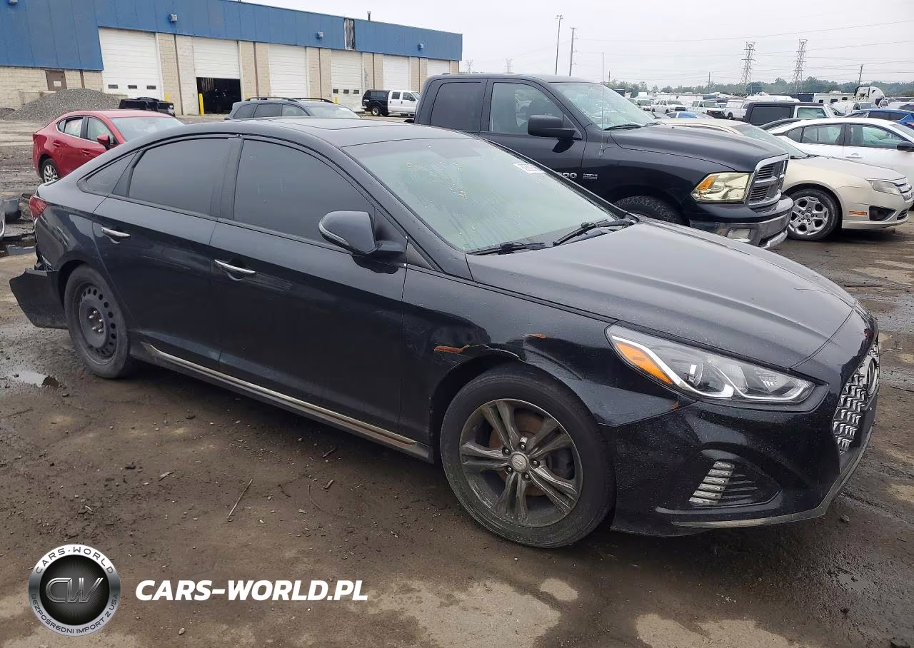 2019 Hyundai Sonata Sel VIN:5NPE34AF5KH786245 - 4
