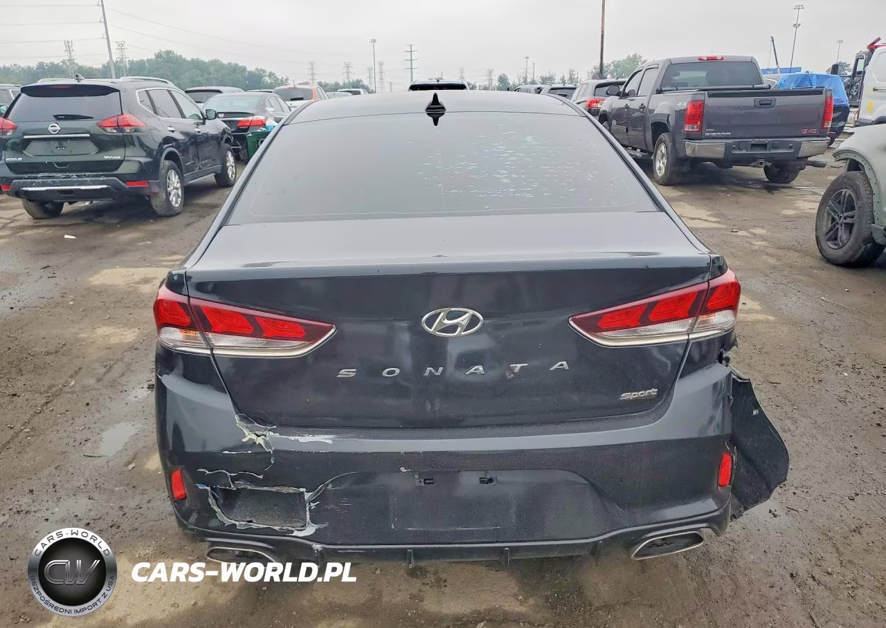 2019 Hyundai Sonata Sel VIN:5NPE34AF5KH786245 - 6