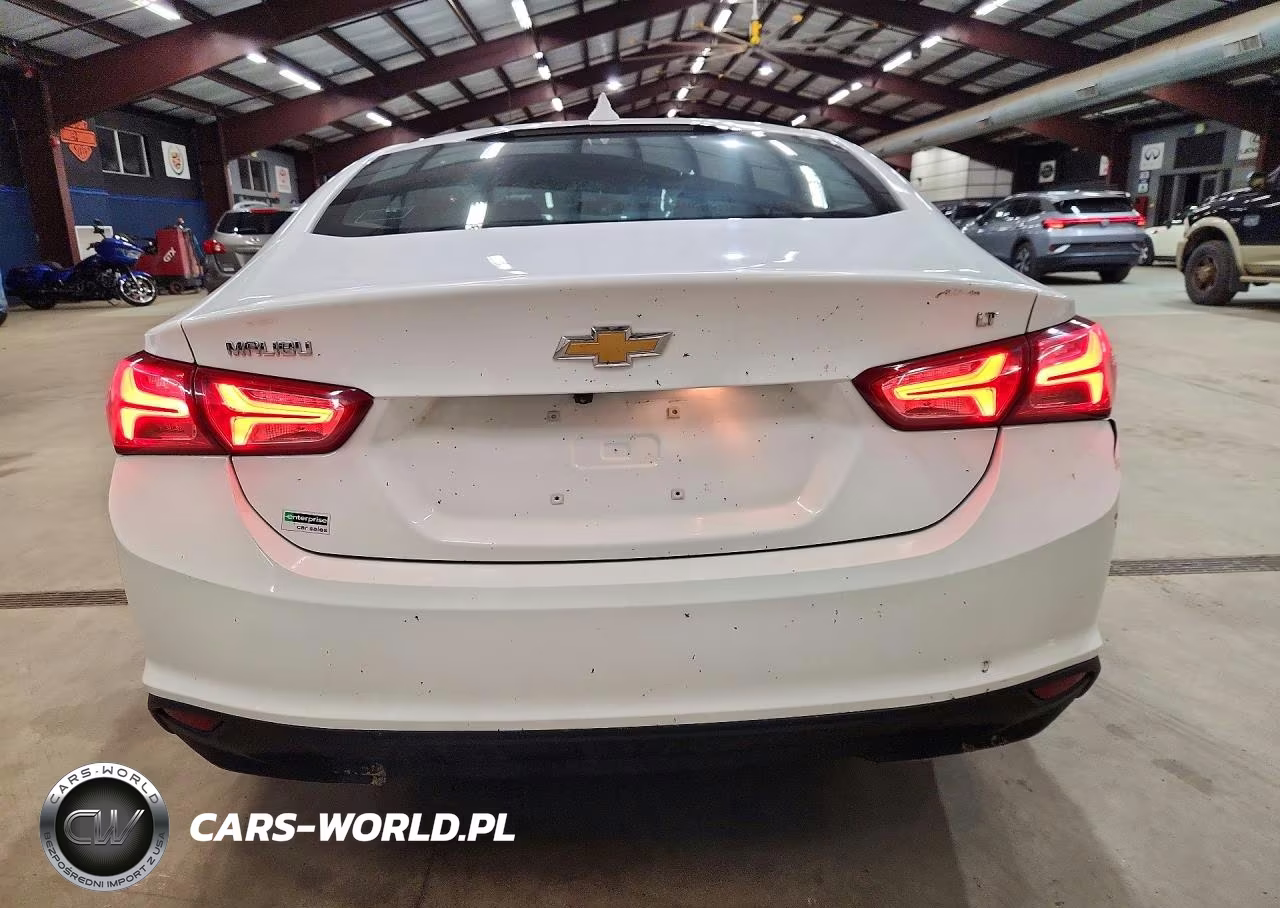 2019 Chevrolet Malibu Lt VIN:1G1ZD5ST8KF212752 - 6