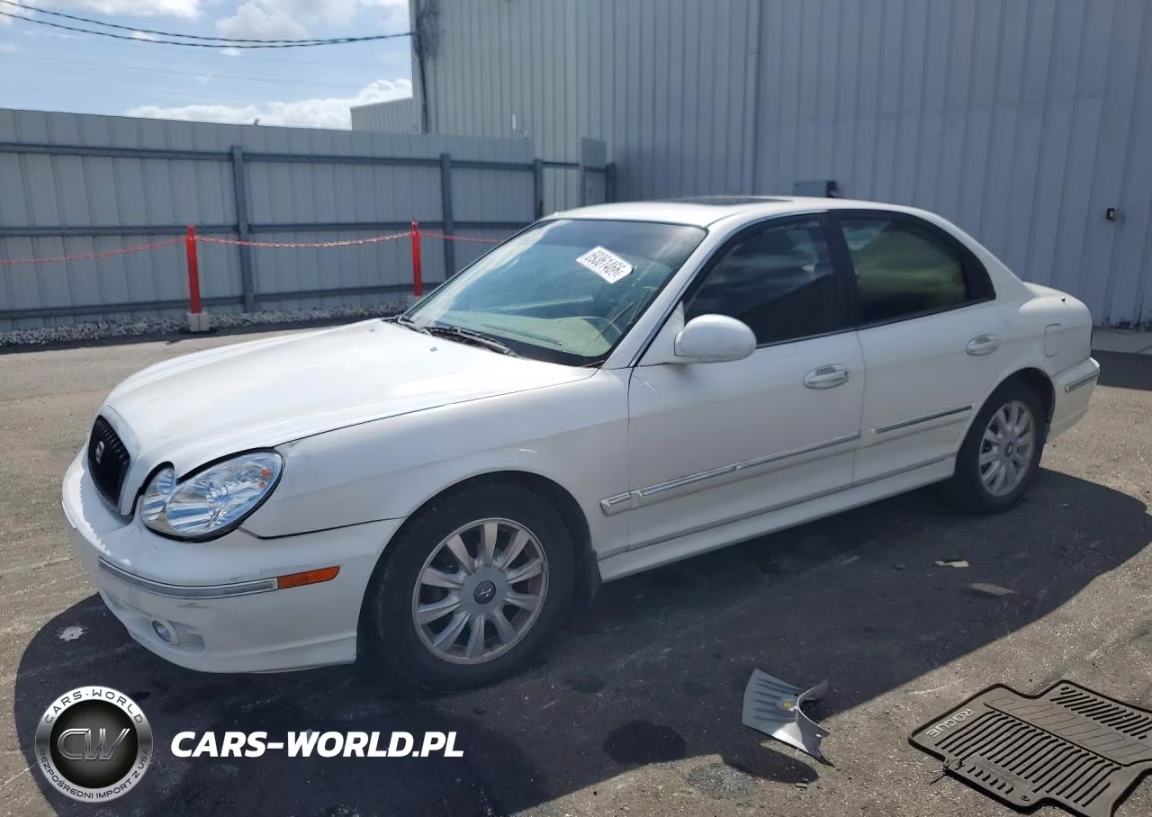 2003 Hyundai Sonata Gls VIN:KMHWF35H43A853262 - 1