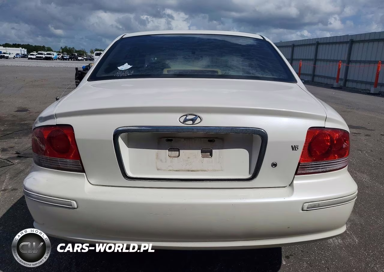 2003 Hyundai Sonata Gls VIN:KMHWF35H43A853262 - 6