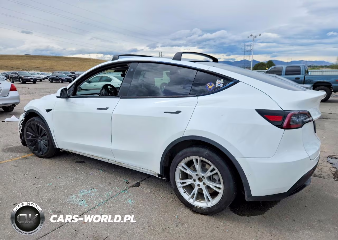 2020 Tesla Model Y VIN:5YJYGDEE6LF006725 - 2