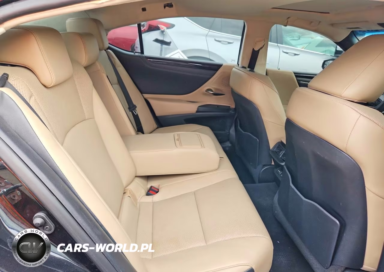 2021 Lexus Es 250 Base VIN:58AD11D17MU005612 - 10