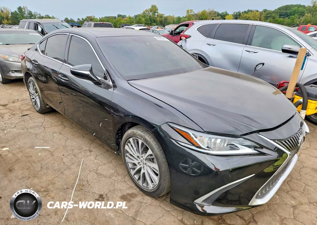 2021 Lexus Es 250 Base VIN:58AD11D17MU005612 - 4