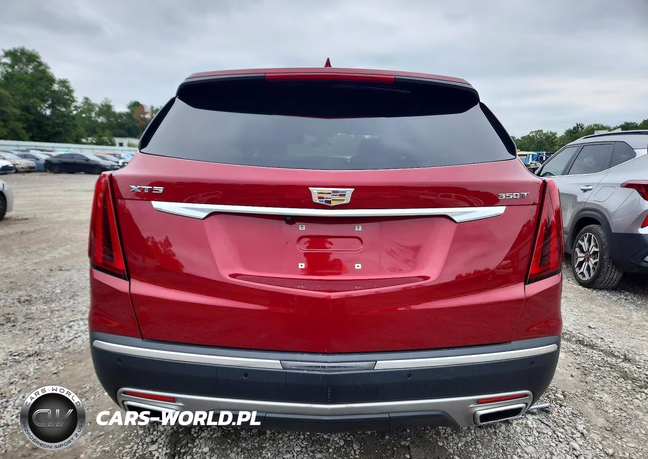 2020 Cadillac Xt5 Premium Luxury VIN:1GYKNCR48LZ192571 - 6
