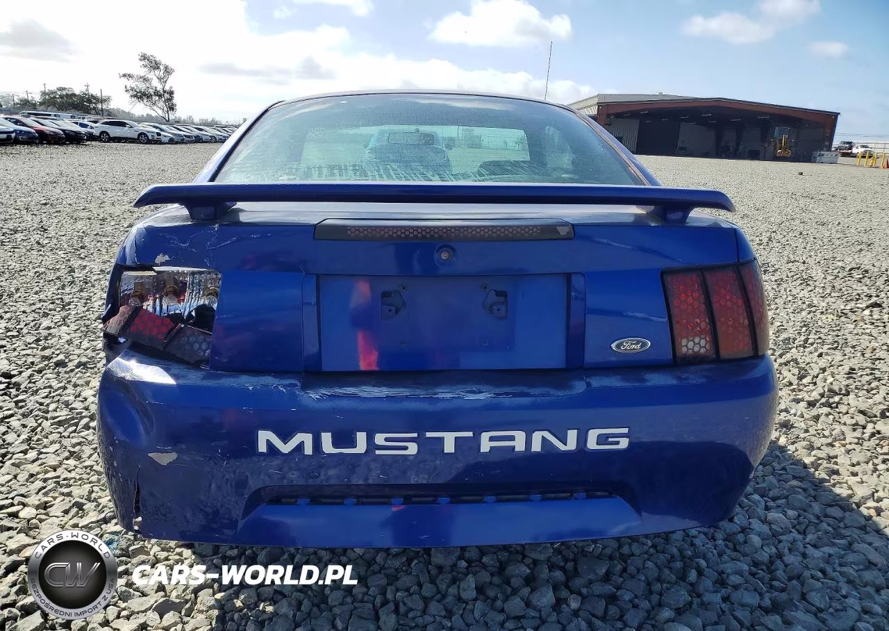 2002 Ford Mustang VIN:1FAFP40492F233171 - 6