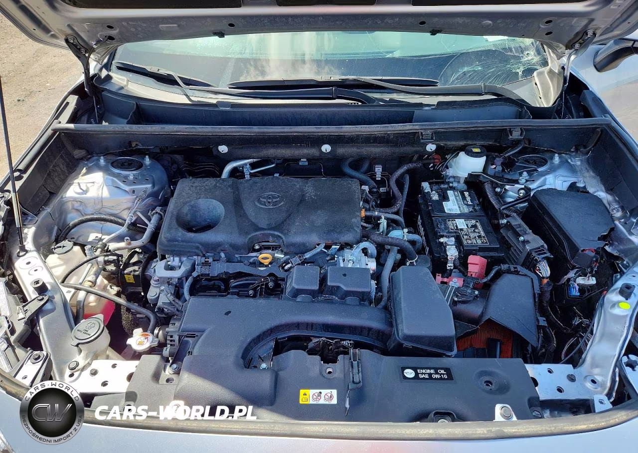 2025 Toyota Rav4 Xle VIN:2T3W1RFV6SC329820 - 12
