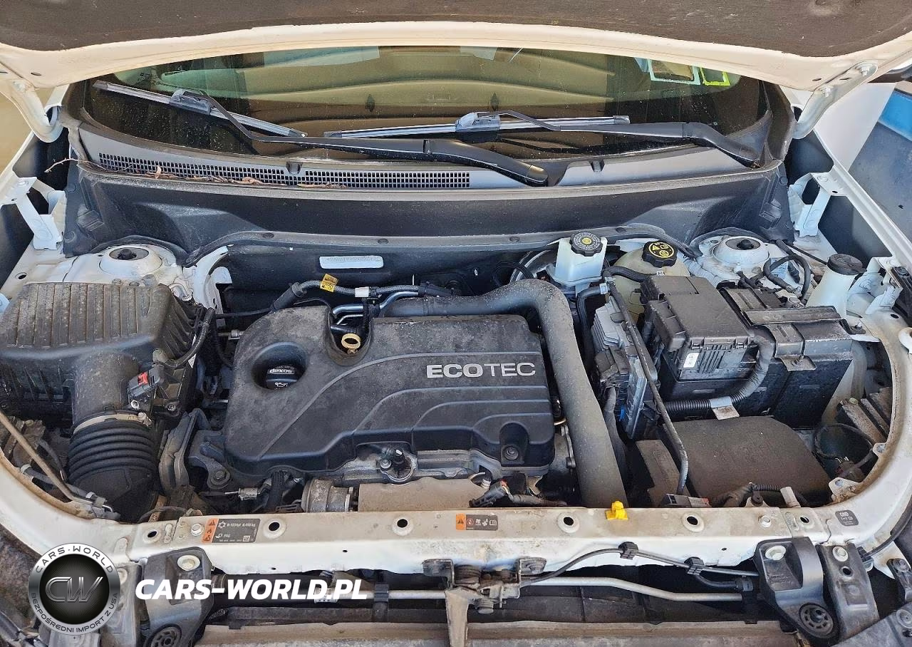 2019 Chevrolet Equinox Lt VIN:3GNAXKEV7KS566966 - 11