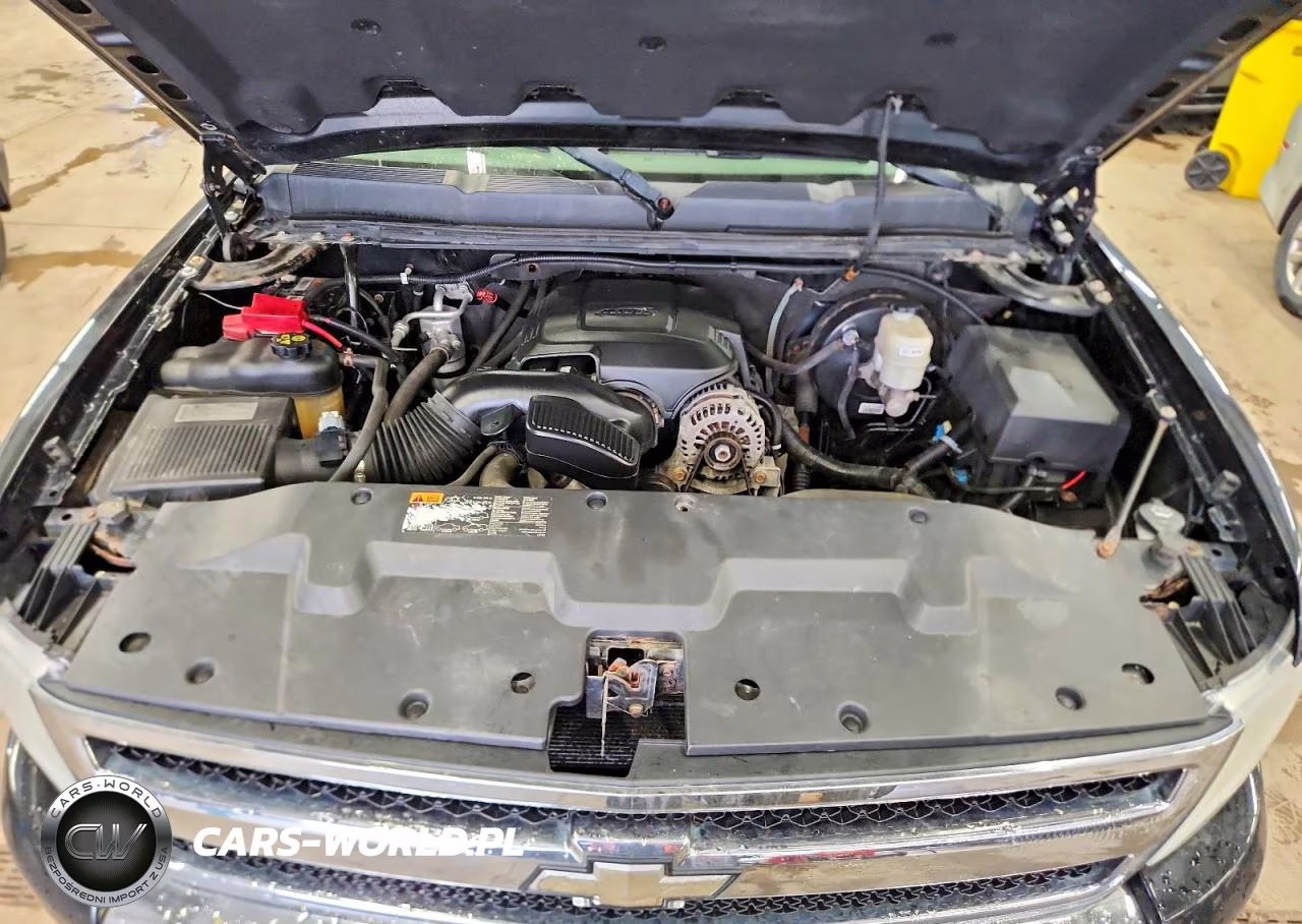 2011 Chevrolet Silverado C1500 Ls VIN:1GCRCREA7BZ423029 - 11