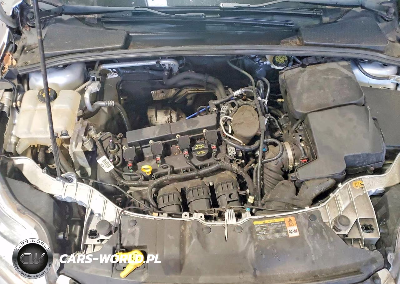 2014 Ford Focus Se VIN:1FADP3K24EL210769 - 11