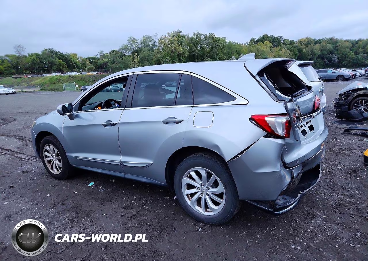 2017 Acura Rdx VIN:5J8TB4H32HL009811 - 2