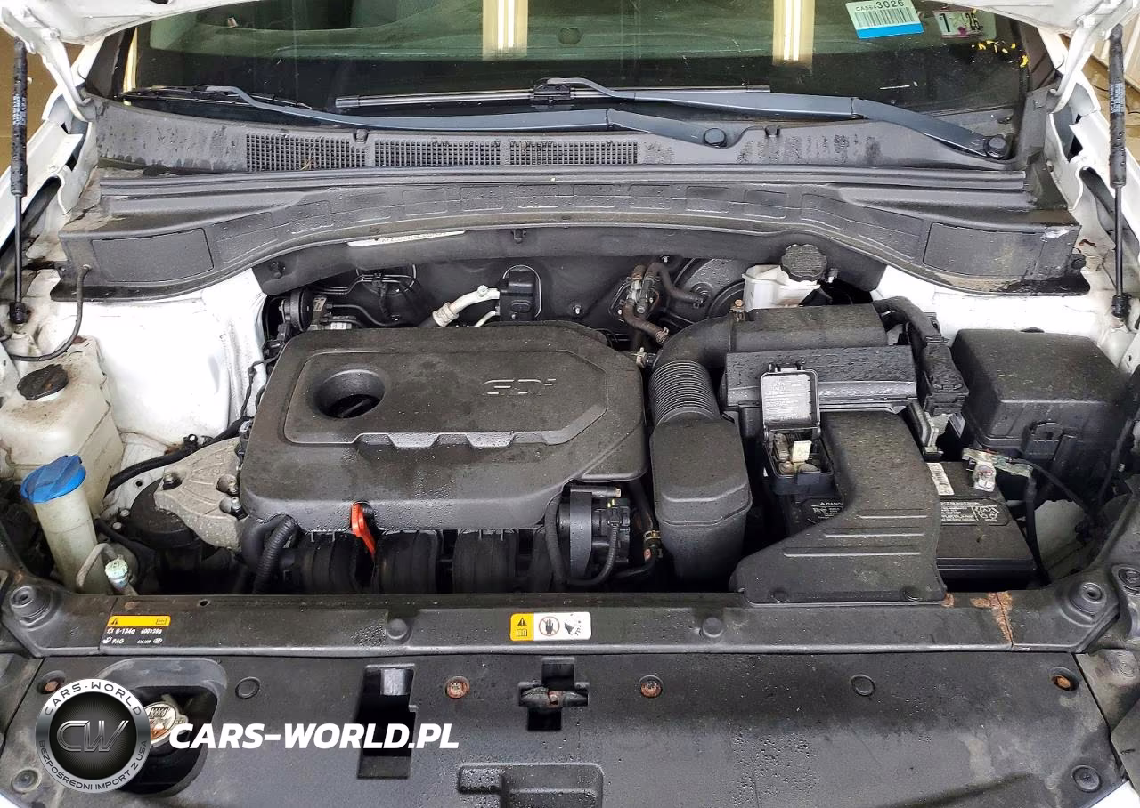 2017 Hyundai Santa Fe Sport 2.4L VIN:5XYZTDLB1HG440902 - 12