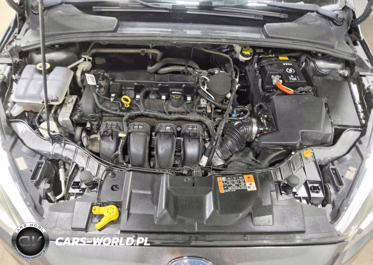 2016 Ford Focus Se VIN:1FADP3K28GL213712 - 11