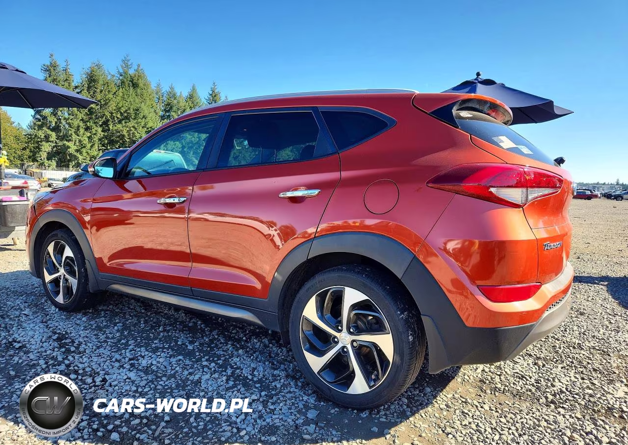 2016 Hyundai Tucson Limited VIN:KM8J3CA25GU143487 - 2