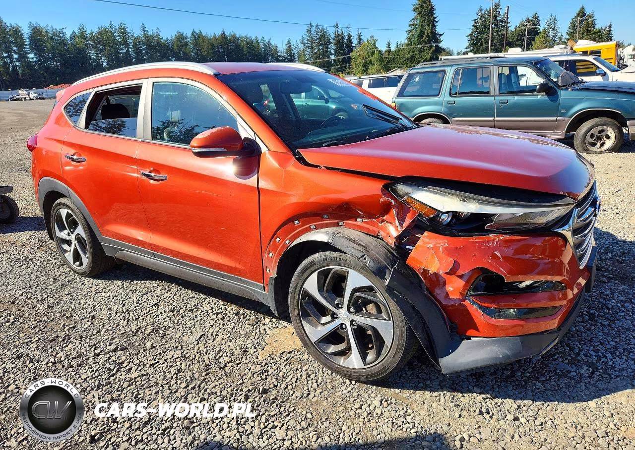 2016 Hyundai Tucson Limited VIN:KM8J3CA25GU143487 - 4