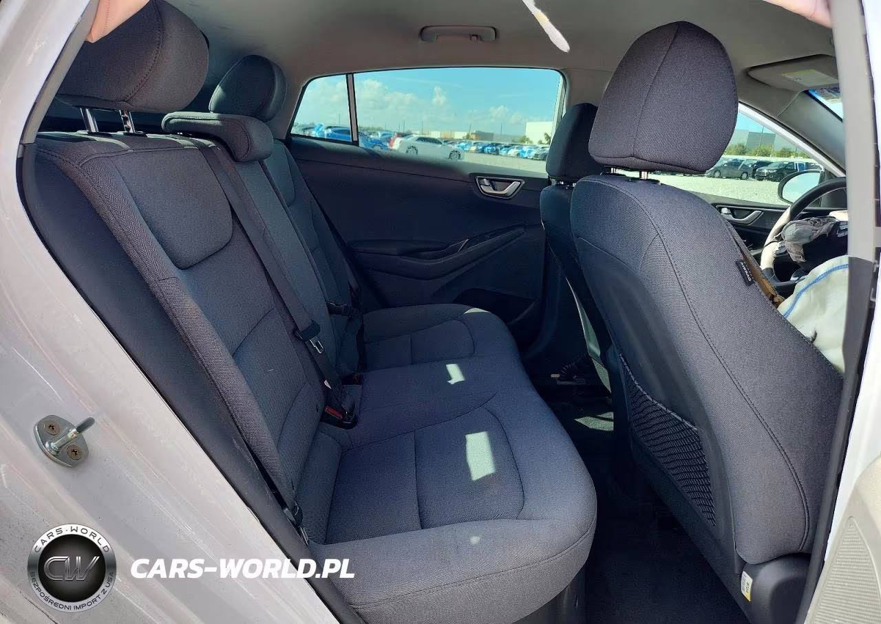 2020 Hyundai Ioniq Blue VIN:KMHC65LCXLU215845 - 10