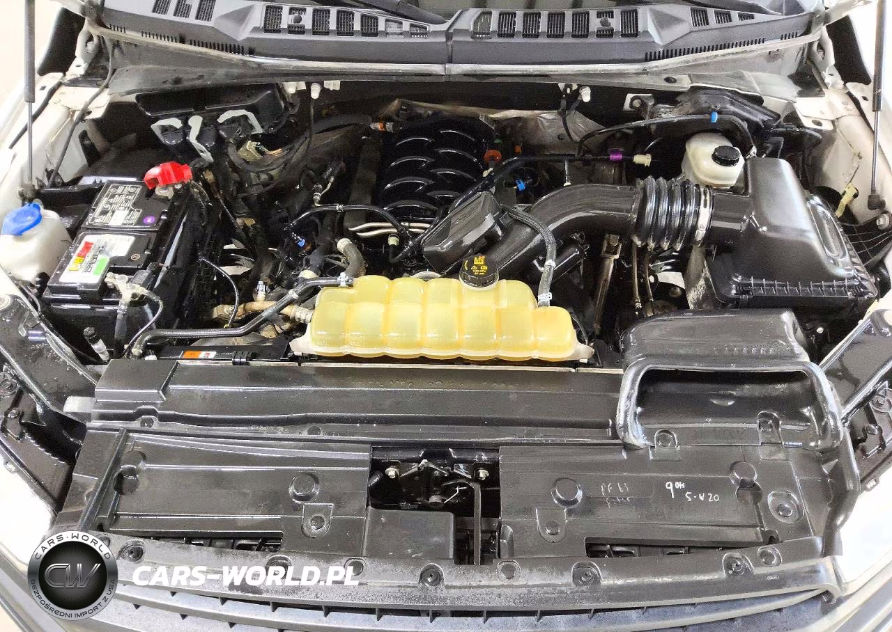 2019 Ford F150 Supercrew VIN:1FTEW1E54KKE51728 - 11