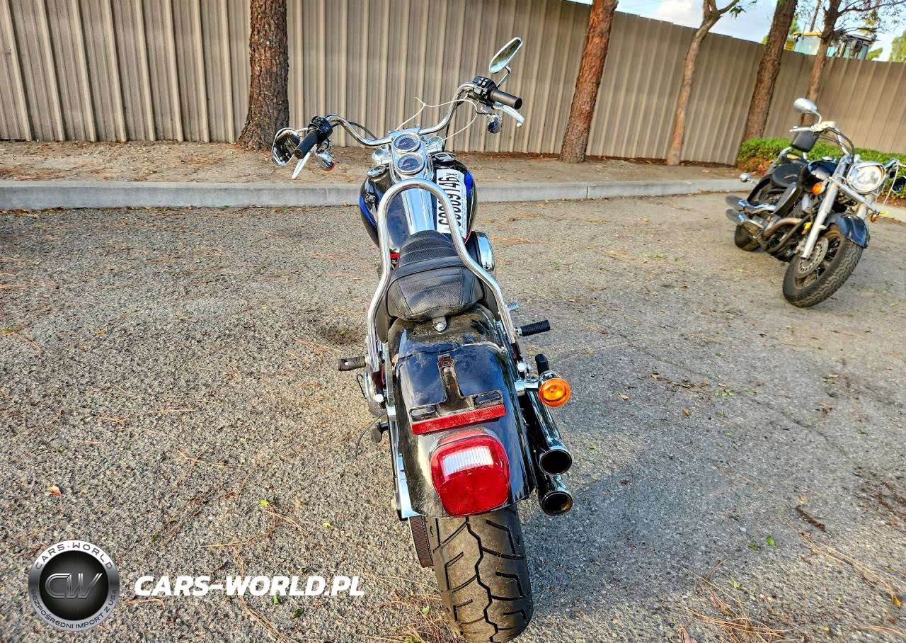 2020 Harley-Davidson Fxlr VIN:1HD1YNJ26LB025101 - 4
