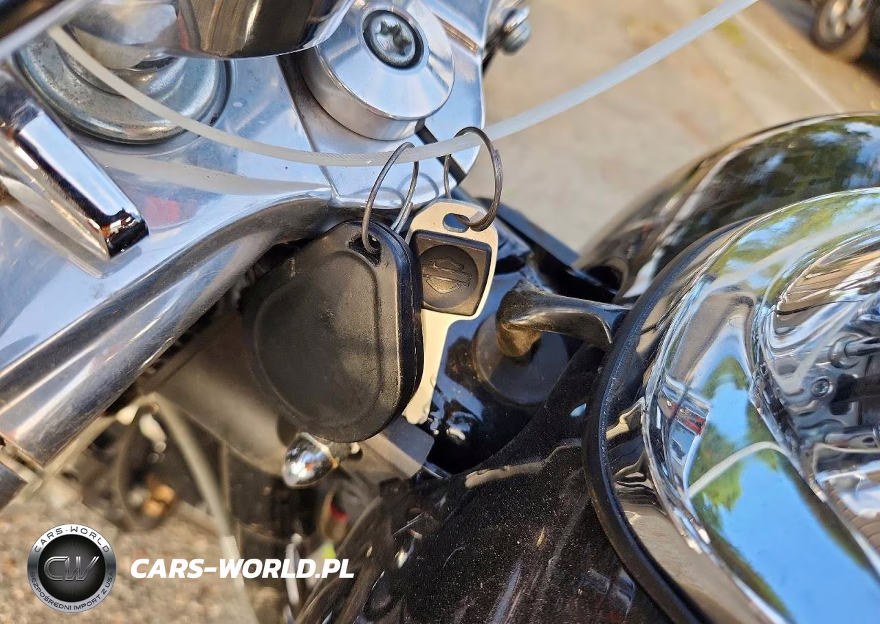 2020 Harley-Davidson Fxlr VIN:1HD1YNJ26LB025101 - 8