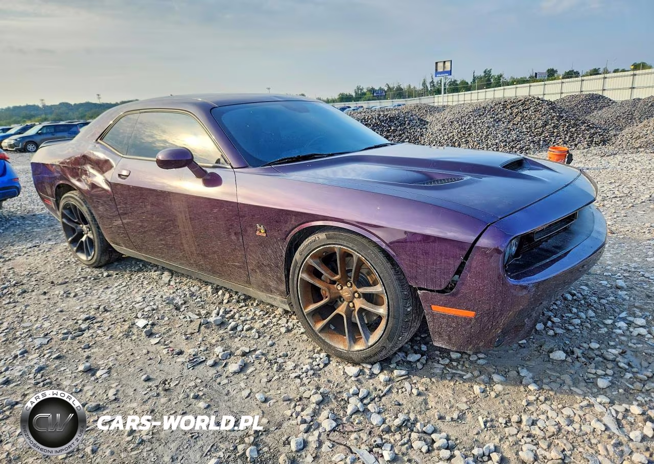2020 Dodge Challenger R-T Scat Pack VIN:2C3CDZFJ6LH226344 - 4