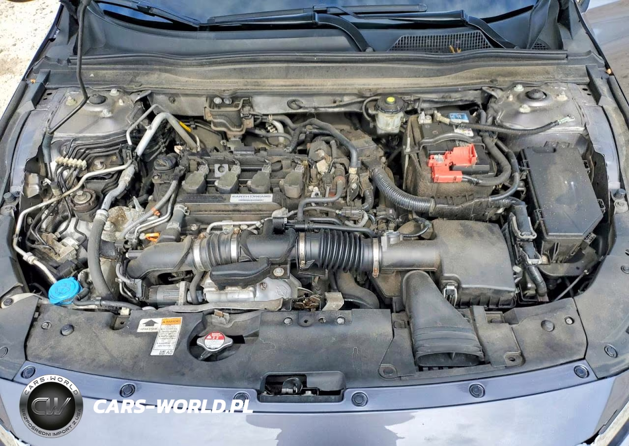 2019 Honda Accord Lx VIN:1HGCV1F14KA135985 - 11