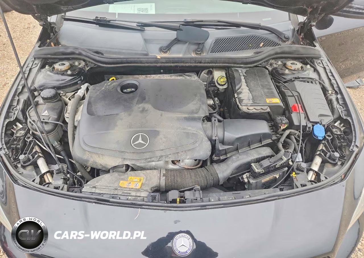 2014 Mercedes-Benz Cla 250 VIN:WDDSJ4EBXEN047558 - 11