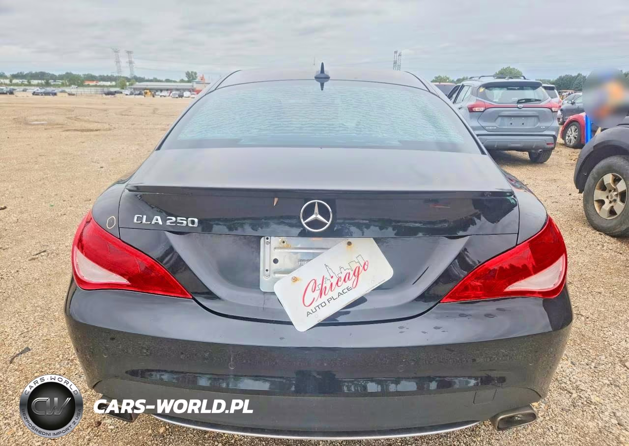 2014 Mercedes-Benz Cla 250 VIN:WDDSJ4EBXEN047558 - 6