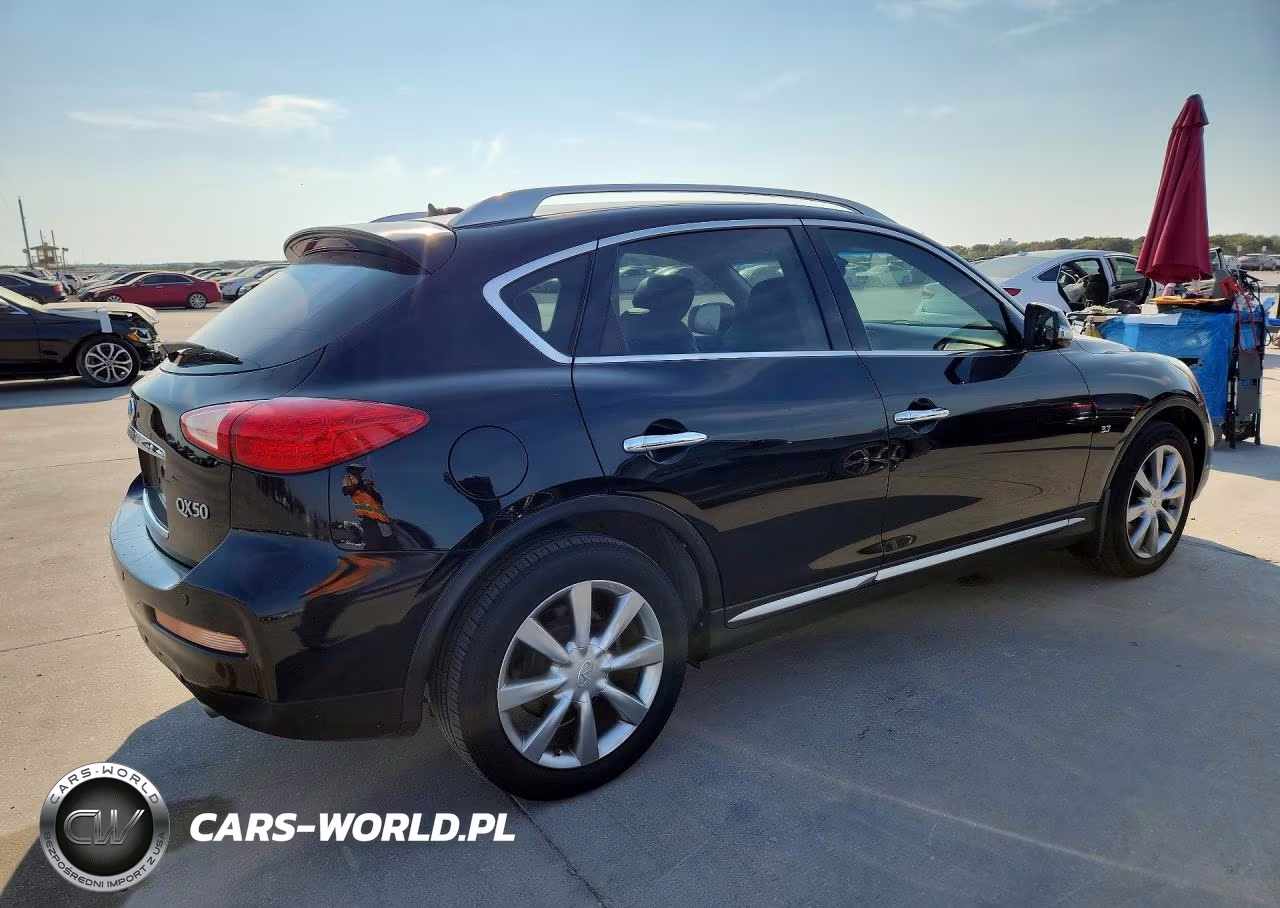 2016 Infiniti Qx50 Base VIN:JN1BJ0RRXGM262167 - 3