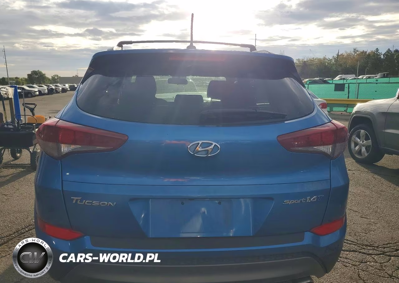 2016 Hyundai Tucson Sport VIN:KM8J33A20GU195383 - 6