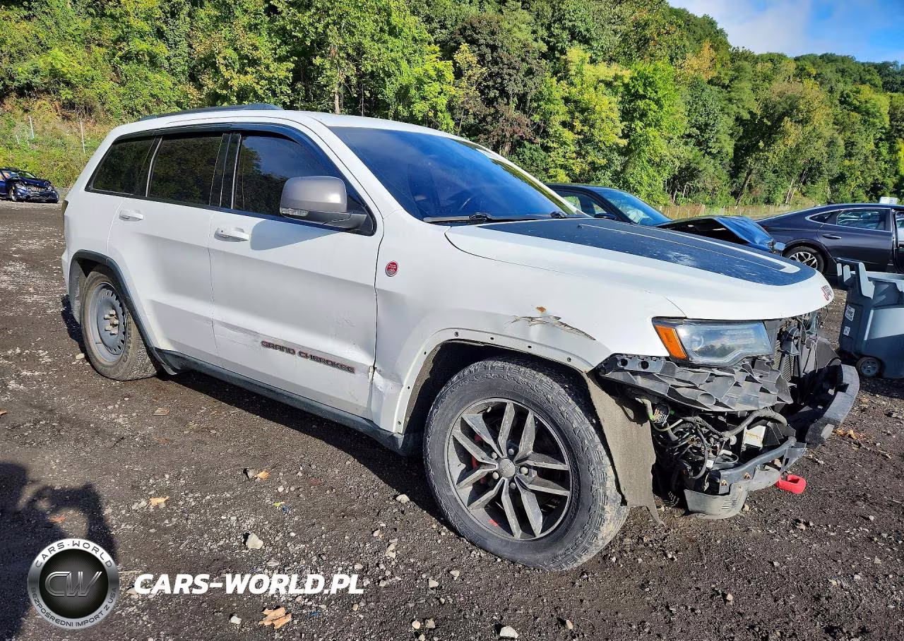 2017 Jeep Grand Cherokee Trailhawk VIN:1C4RJFLG9HC663187 - 4