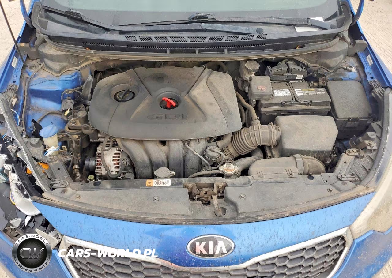 2014 Kia Forte Ex VIN:KNAFX5A80E5232810 - 11