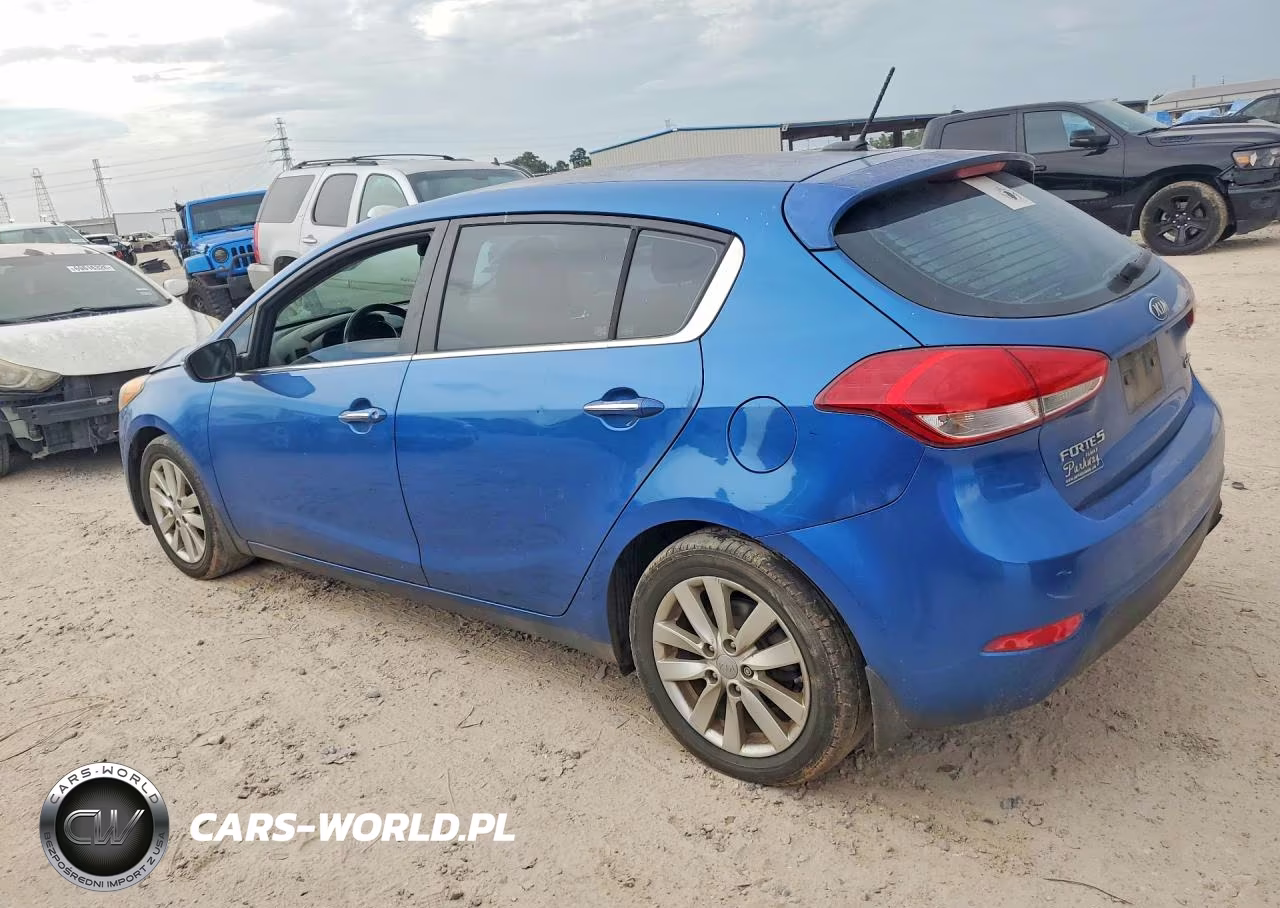 2014 Kia Forte Ex VIN:KNAFX5A80E5232810 - 2