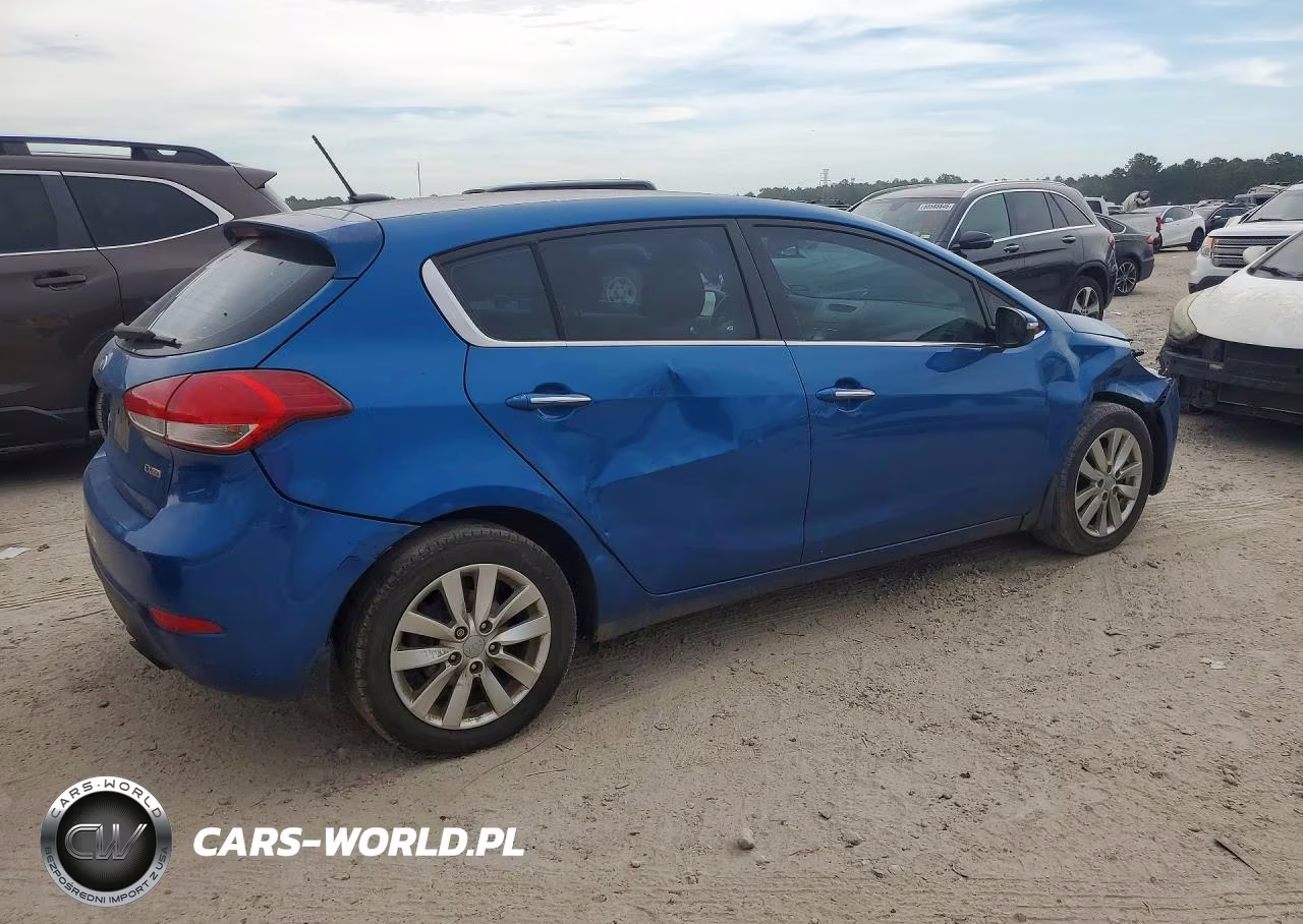 2014 Kia Forte Ex VIN:KNAFX5A80E5232810 - 3