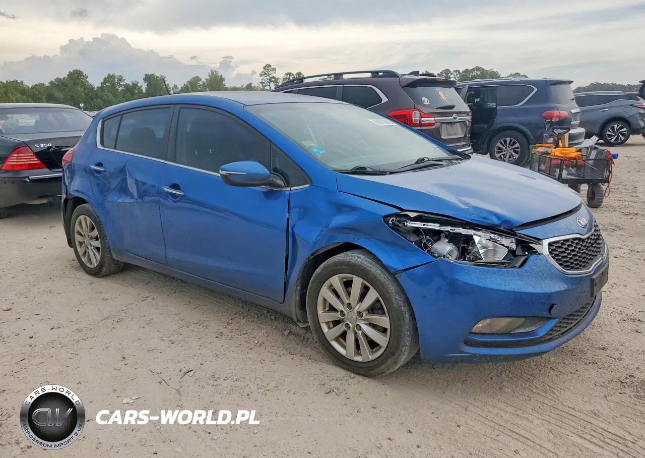 2014 Kia Forte Ex VIN:KNAFX5A80E5232810 - 4