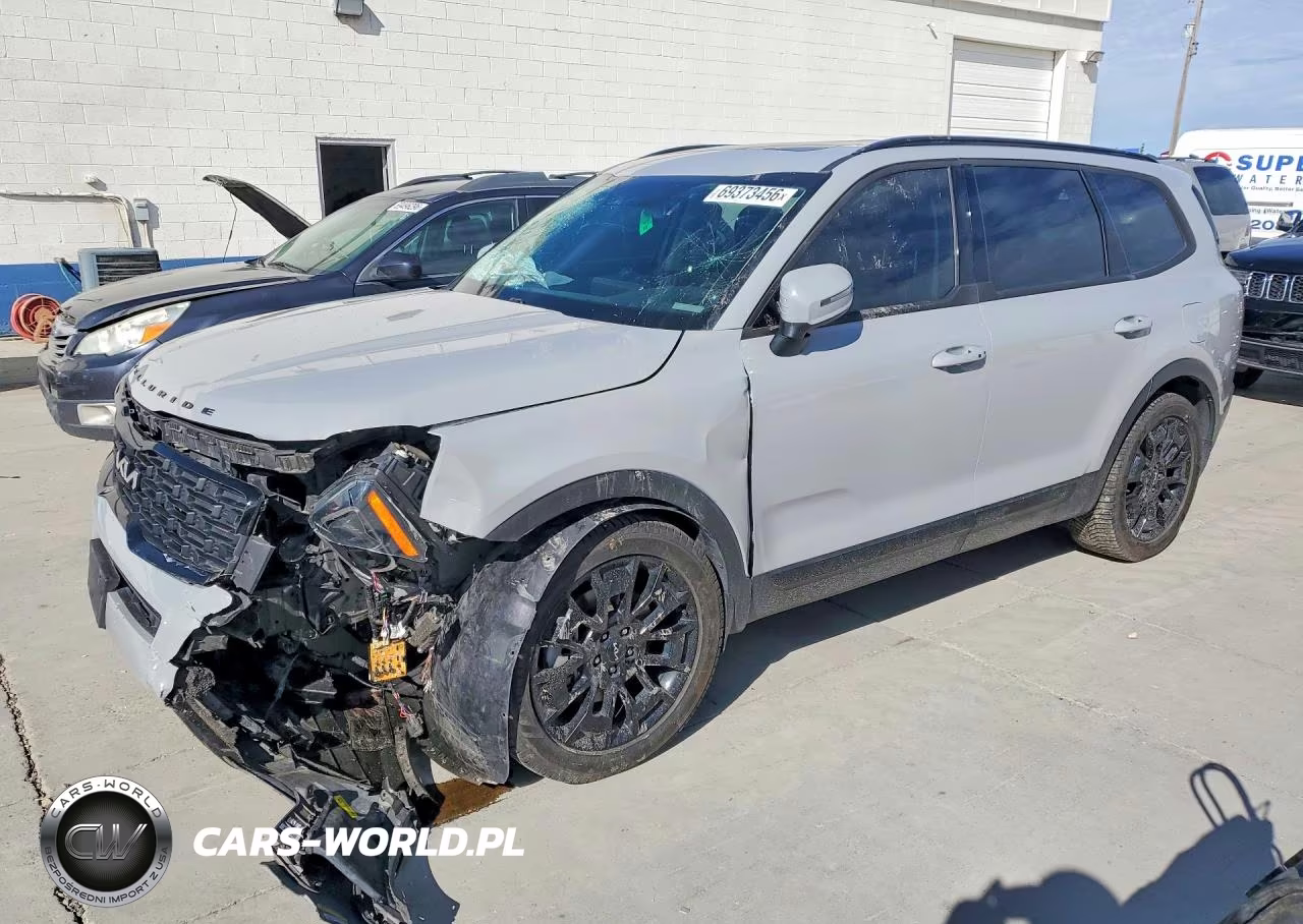 2022 Kia Telluride Ex VIN:5XYP3DHC0NG203757 - 1