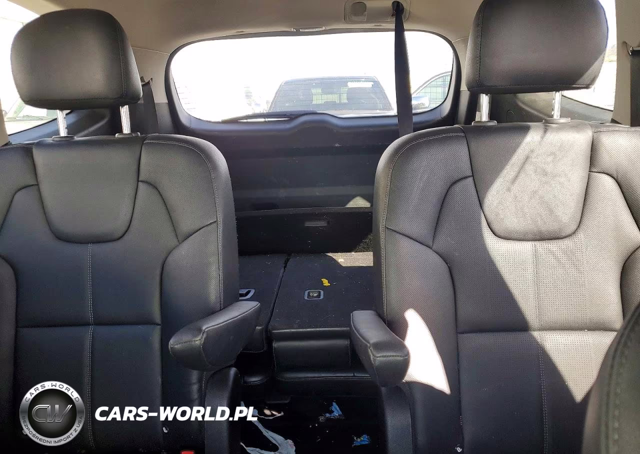 2022 Kia Telluride Ex VIN:5XYP3DHC0NG203757 - 10
