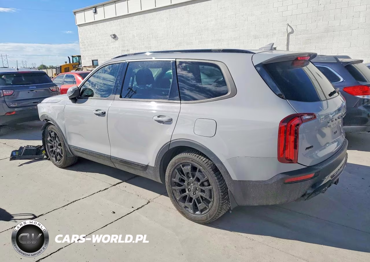 2022 Kia Telluride Ex VIN:5XYP3DHC0NG203757 - 2