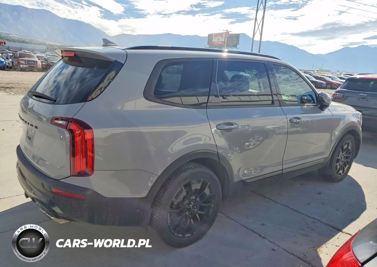 2022 Kia Telluride Ex VIN:5XYP3DHC0NG203757 - 3