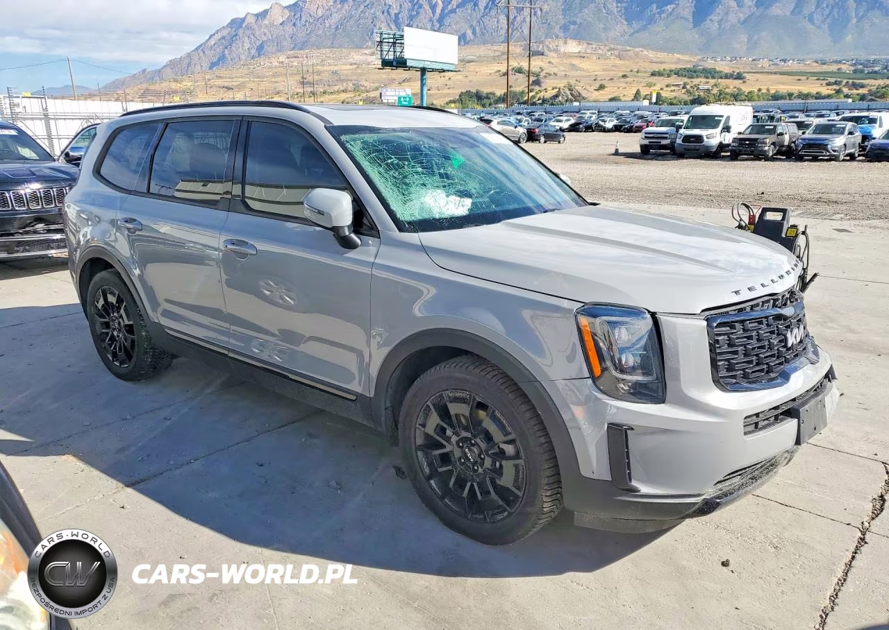 2022 Kia Telluride Ex VIN:5XYP3DHC0NG203757 - 4