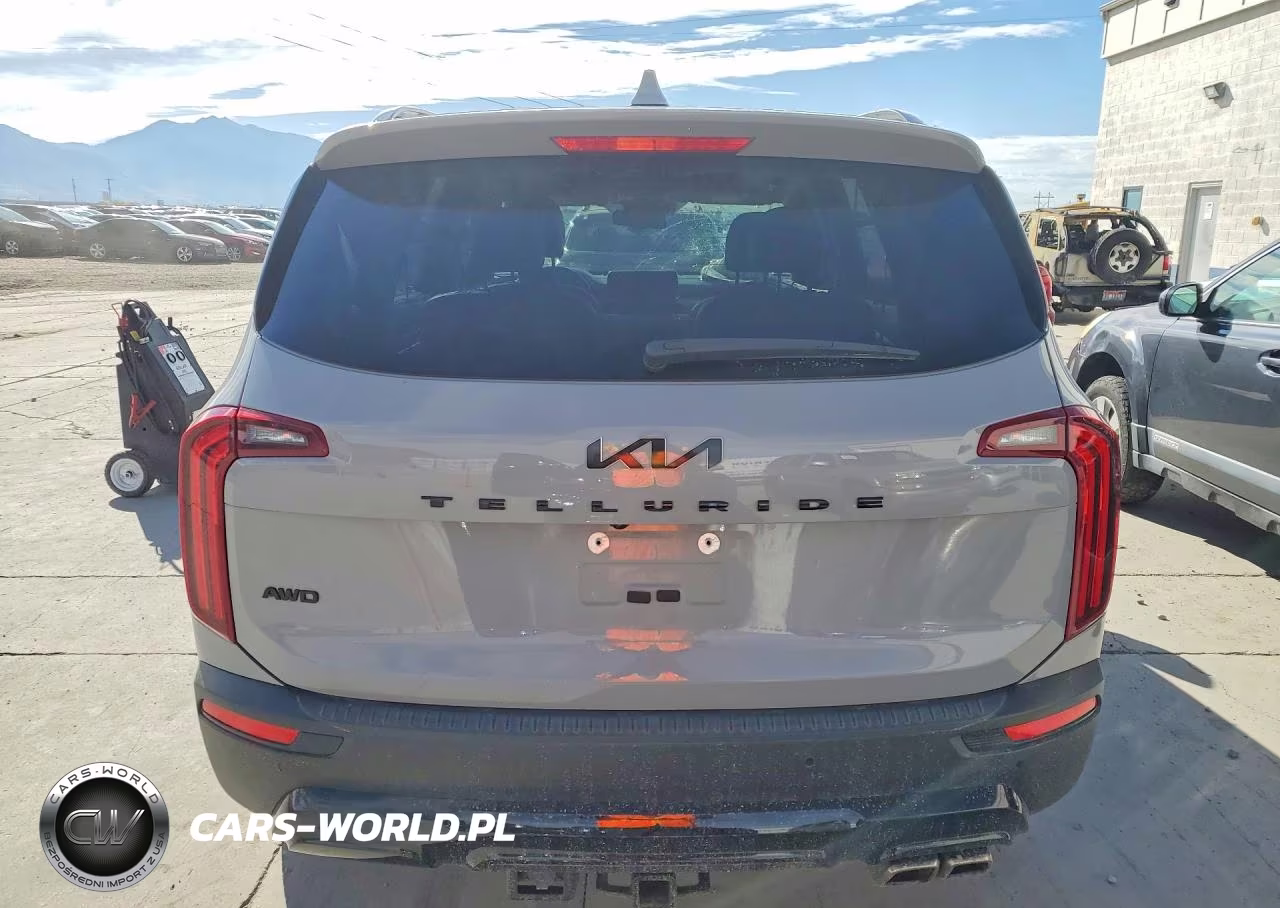 2022 Kia Telluride Ex VIN:5XYP3DHC0NG203757 - 6
