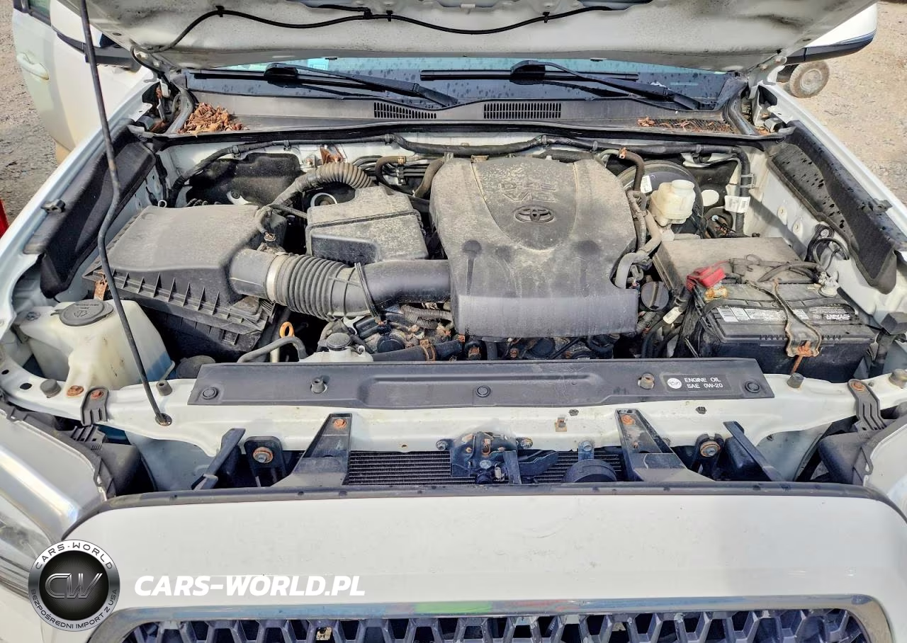 2019 Toyota Tacoma Sr5 V6 VIN:5TFDZ5BNXKX038696 - 11